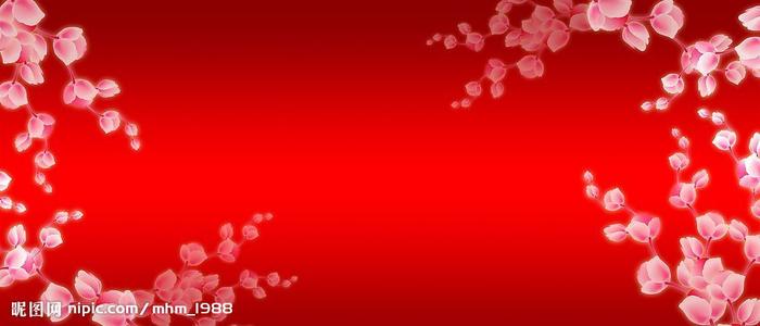 汉堡物流与企业管理技术大学计算机科学文凭证书